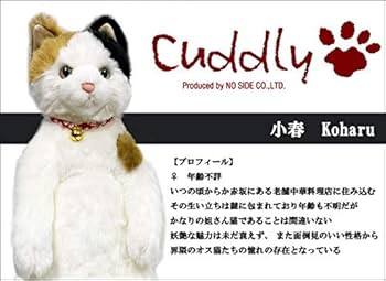 Cuddly 小春 Koharu ぬいぐるみ　① 小春 Koharu 猫のぬいぐるみ 三毛猫 – Cuddly公式オンラインショップ